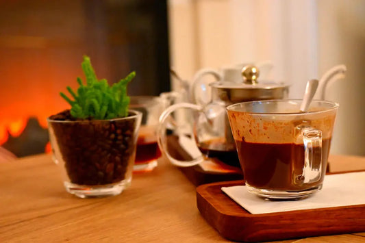 Sustainable Coffee Practices How The Veeg Gives Back